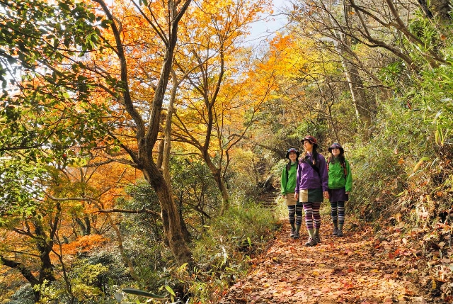 【自然】筑波山の紅葉狩り 筑波山四季の道ハイキング