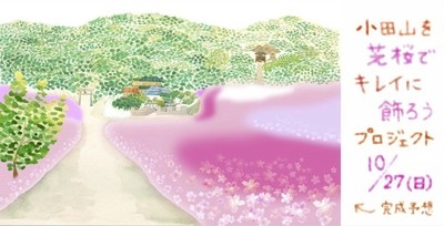 【自然】つくばＲ８採択プラン 「芝桜をキレイに飾ろうプロジェクト」